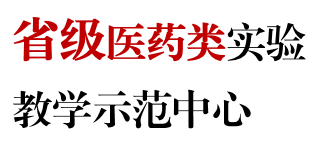 陜西國際商貿(mào)學(xué)院2022年專升本招生簡章