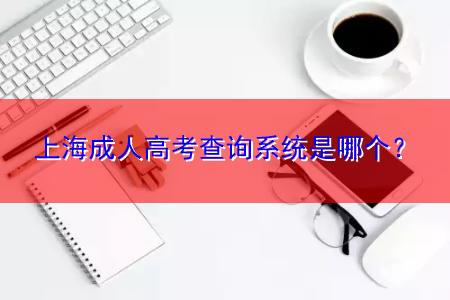 上海成人高考查詢系統(tǒng)是哪個？