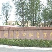 四川藝術職業(yè)學院單招