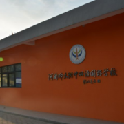 河南师大附中双语国际学校小学部